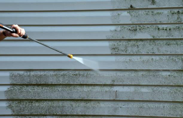 Best Pressure Washing Company Near Me  in Marmet, WV