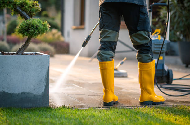 Best Exterior Home Cleaning  in Marmet, WV